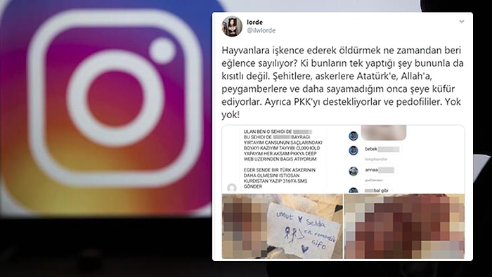 Bunu da Gördük: Evcil Hayvanlarını Kesip, Instagram Gruplarında Eğlenen Gençler!