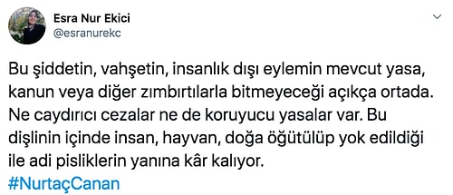 Öleceğini Zannedip Kendi Kanıyla 'Kurtuldum' Yazan Nurtaç Canan'ın Ardından İsyan Bayrağını Kaldıran İnsanlar