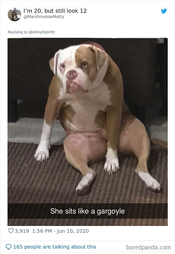 11. Она сидит как горгулья