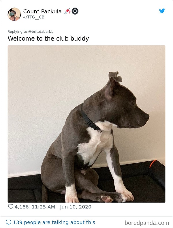 16. Добро пожаловать в клуб, дружок