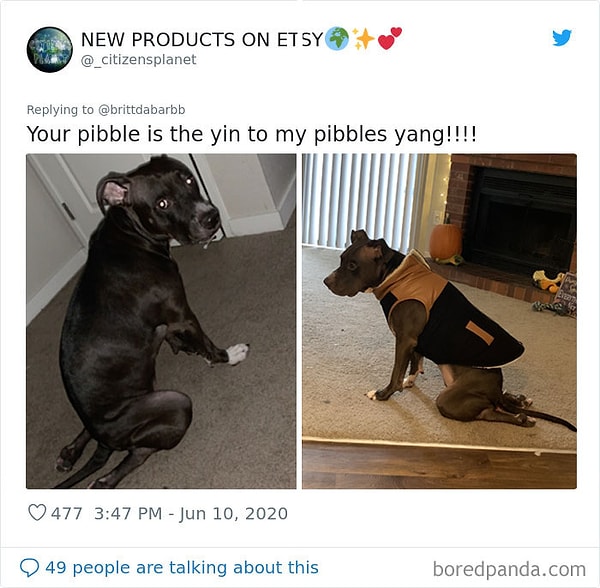 18. Он абсолютно здоровый пес. Просто это его любимая поза