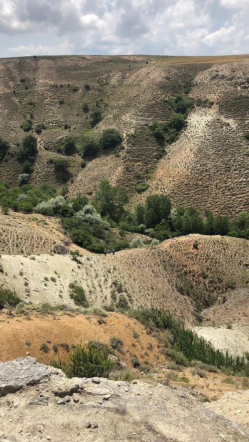 Hürkuş, Ankara'daki Eğitim Uçuşu Sırasında Düştü: 2 Pilotun Durumu İyi