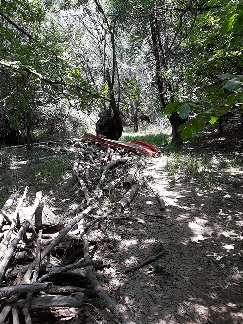 Hürkuş, Ankara'daki Eğitim Uçuşu Sırasında Düştü: 2 Pilotun Durumu İyi