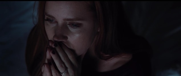 15. Nocturnal Animals - Film