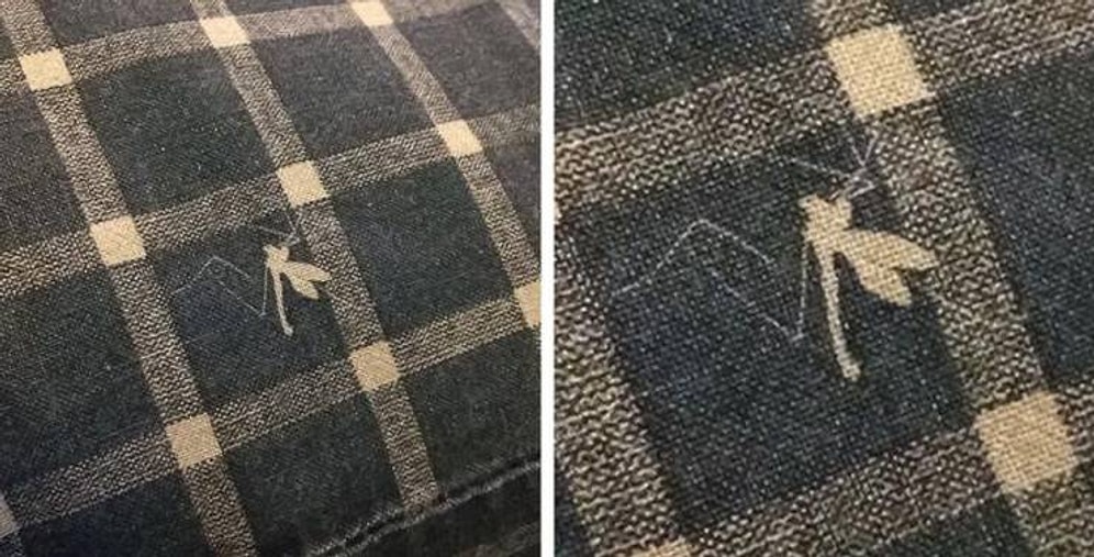 10 интересных фотографий для любителей увидеть что-то новое