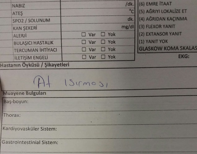 7. Yemin ederim o dişleri popomda bir yerlerde hissettim şu an!
