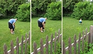 Oğluna Golf Oynamayı Öğretmeye Çalışan Baba ve Ufaklığın Muhteşem Tepkisi