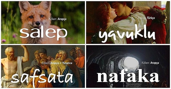 Ortaya Çıkış Hikâyelerini Öğrendiğinizde Sizi Gerçek Bir Etimoloji Tutkununa Çevirecek 21 Kelime