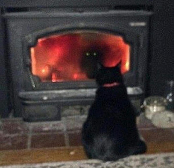 14. Ари Астер