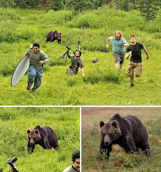 7. National Geographic fotoğrafçılarına ait odluğu söylenilen bu fotoğraftaki ayı, başka bir görüntüden alınmış.