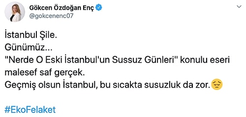 Bakan Varank'tan Şile'de Su Kuyruğu Paylaşımı: 'Merakla Beklediğiniz Dizinin Yeni Sezonu Yayınlanmış'