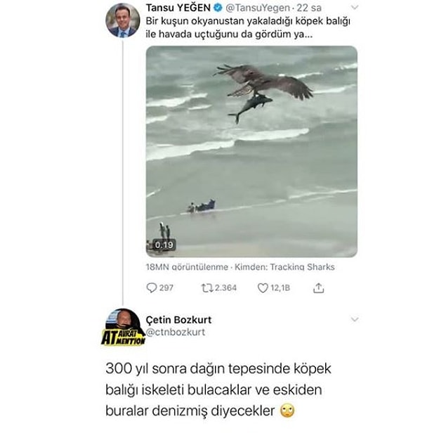 11. Buralar eskiden hep denizdi.