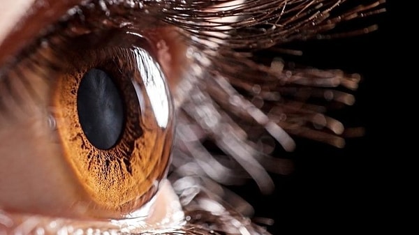 3. Роговица-единственное место в организме, где нет прямых кровеносных сосудов. Поэтому она также получает кислород непосредственно из воздуха.