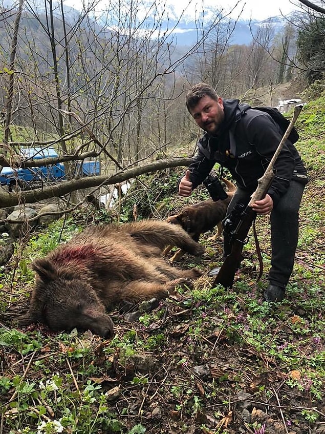 Avcı, daha sonra elinde tüfekle vurduğu ayının başında fotoğraf da çektirdi.