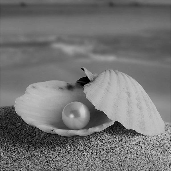 13. Для Никола Теслы жемчуг был кошмаром.