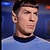 mr.spock