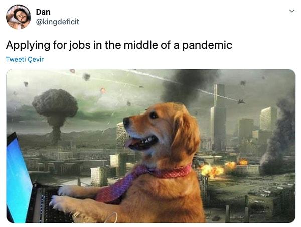 1. "Pandeminin ortasında iş başvurusu yapıyorumdur."