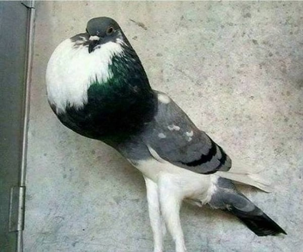 2. Когда вы три раза кашлянули во время лекции и теперь пытаетесь сдержаться: