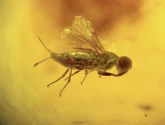 21 фотография, которая удивит даже самого искушенного зрителя