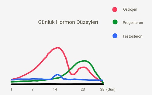 Bakın Burası Çok Önemli! Kadınları Mutlu Etmek Gerçekten İmkansız mı?