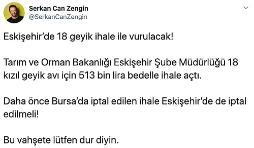 Bakanlık, Canlarına 513 Bin TL Değer Biçti: Eskişehir’de 18 Geyik İhale ile Öldürülecek...