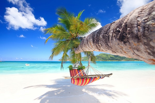 3. Назовите самый южный город планеты