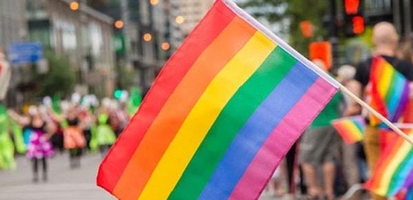 LGBT+ bayrağındaki renklerle gökkuşağındaki renklerin aynı olması nedeniyle bu renklerin kullanılmaması gerektiğini savunmuşlardı.