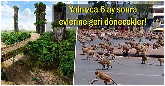 Felaket mi Mucize mi: Dünyadaki Tüm İnsanlar Yok Olsa ve Sadece Sen Kalsan Neler Olurdu?