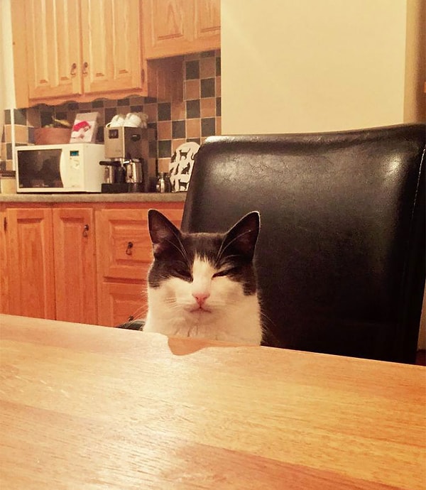 16. Я случайно разлил ее последнюю порцию молока. Когда я ел свой ужин, она сидела напротив меня с таким взглядом