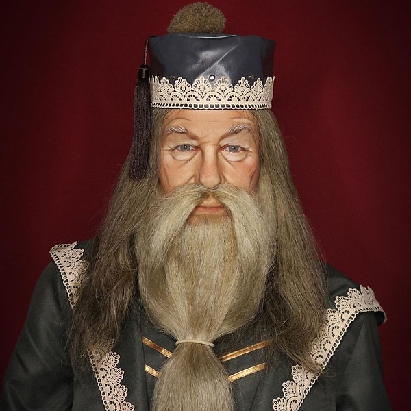 14. Альбус Дамблдор