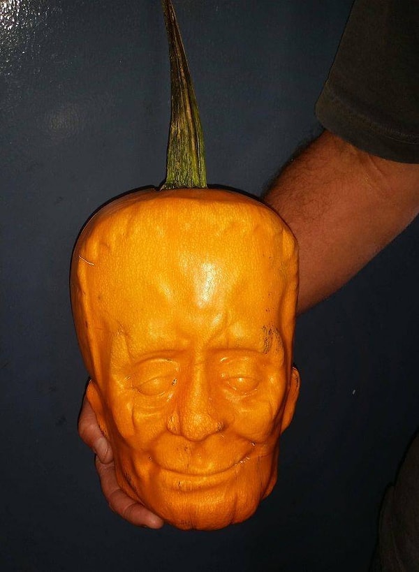 1. Что будет, если вырастить тыкву внутри пластиковой формы