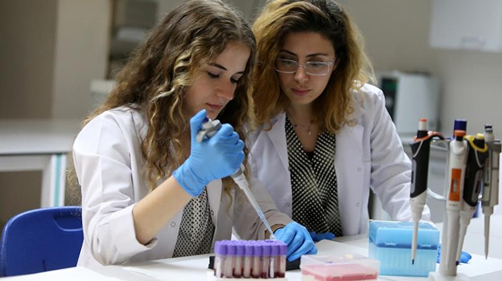 Moleküler Biyoloji ve Genetik 2020 Taban Puanları ve Başarı Sıralaması