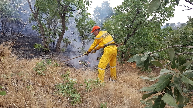 Orman Genel Müdürlüğü: 'Lice'deki Yangına Yerinde ve Zamanında Müdahale Edidi'