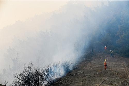 Çanakkale, İzmir, Hatay... Bugün 12 İlde Yangın Çıktı, Onlarca Hektar Orman Kül Oldu
