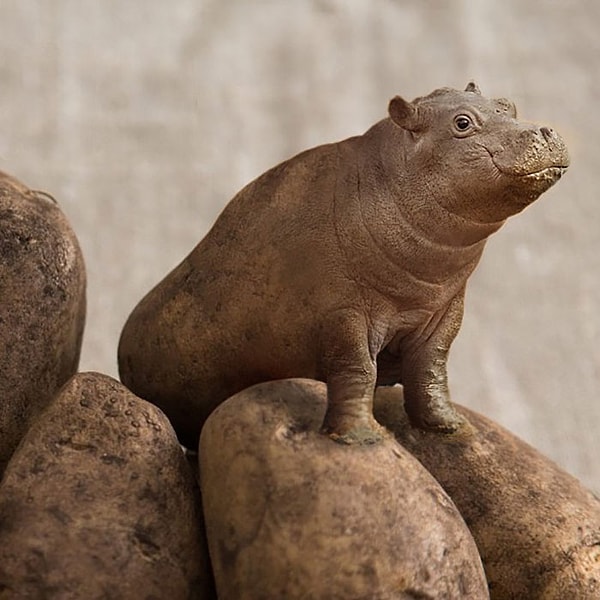 17. Гипотошка