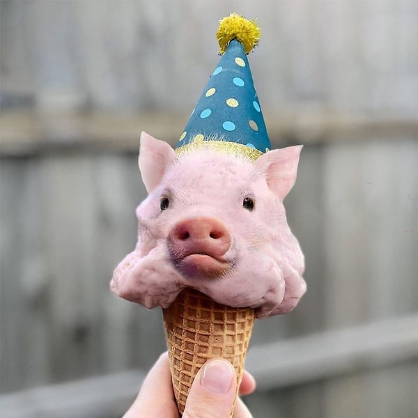 27. Свироженое