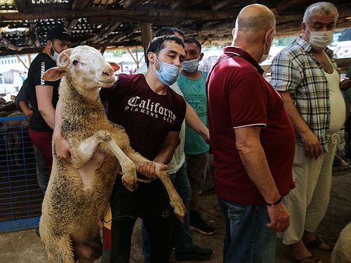 Bir Bayram Klasiği: Acil Servisler Acemi Kasaplarla Dolup Taştı