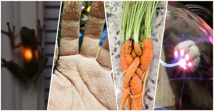 Karşılaştıkları Tuhaf Durumları Bizlerle Paylaşarak Dumur Olmamıza Neden Olan Birbirinden Enteresan 19 Kişi