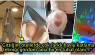 Hep Aynı Şeyleri Görmekten Sıkılanları İlginçliğe Doyuracak Birbirinden Acayip 19 Yeni Görsel