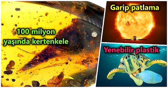 Biz Kadın Cinayetlerine Bir Dur Diyecek Yasayı Beklerken Geçtiğimiz Hafta Bilim Dünyasında Yaşananlar!