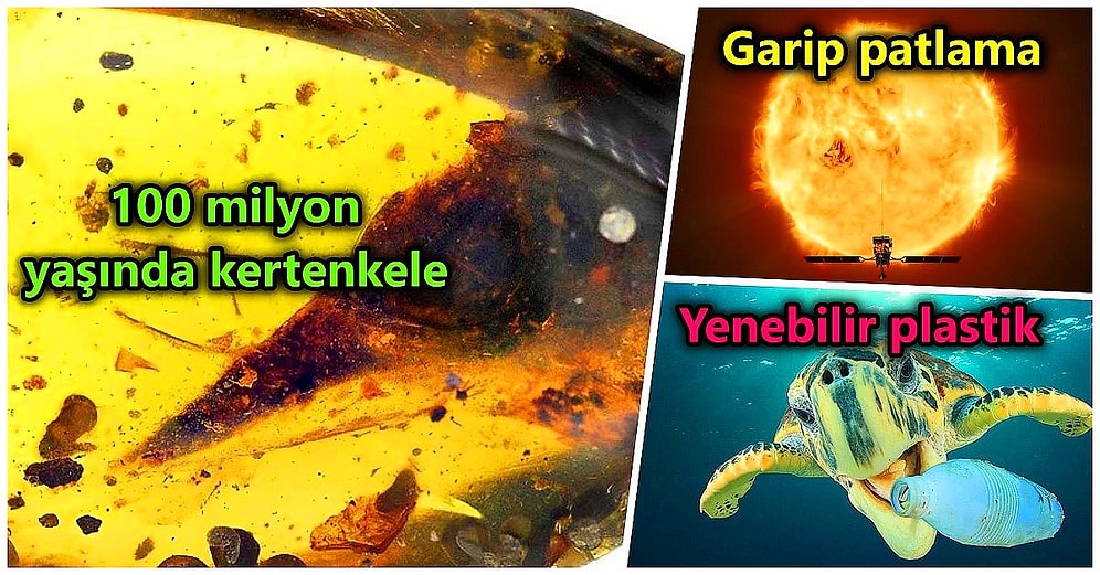 Biz Kadın Cinayetlerine Bir Dur Diyecek Yasayı Beklerken Geçtiğimiz Hafta Bilim Dünyasında Yaşananlar!