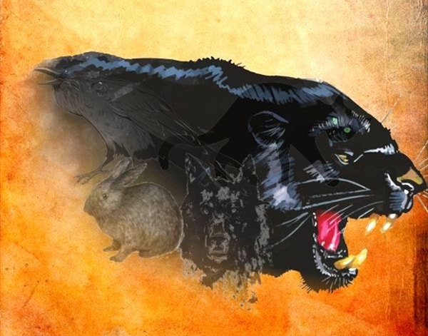 Итак, выберите животное, которое привлекло ваше внимание в первую очередь: