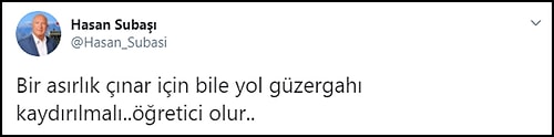 200 Yıllık Çınarların Önünde Nöbet Başlattılar: 'Yol İçin Ağaçlar Katledilmesin!'