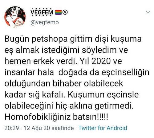 Paylaştıkları Abuk Subuk Dertleriyle İnsanı Dert Sahibi Olmaya İten Bir Değişik Sosyal Medya Kullanıcıları