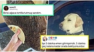 Denizaşırı Mizahta Bu Hafta: Son Günlerde Yabancıları Kahkahaya Boğmuş 17 Komik Tweet