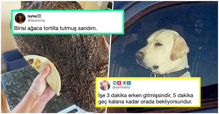 Denizaşırı Mizahta Bu Hafta: Son Günlerde Yabancıları Kahkahaya Boğmuş 17 Komik Tweet