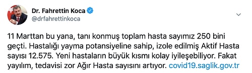 Hasta Sayısı 250 Bini Geçti: Son 24 Saatte 1.233 Yeni Vaka, 22 Ölüm