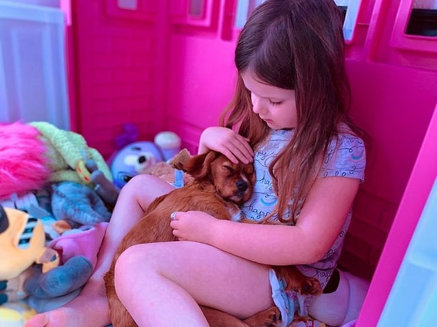10. "Kızım konuşmaya başladığı andan beri yavru bir köpek istiyordu. Bugün onun en mutlu günü."