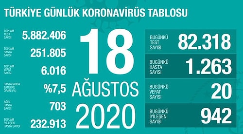 Türkiye'nin Son 24 Saatteki Korona Tablosu: 'Tedbirlere Uyulmayan Ortamlarda 1.263 Kişiye Daha Bulaştı'