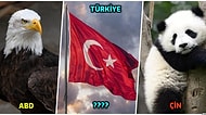Hepsi Temsil Ettiği Milletin Bir Özelliğini Taşıyor! Ülkelerin Ulusal Sembolü Olan Hayvanları Biliyor Muydunuz?